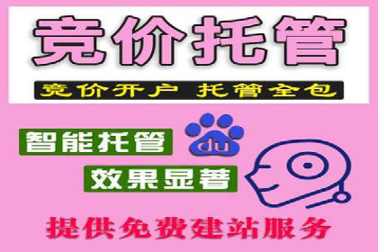 SEM推广实战：案例解析与策略探讨